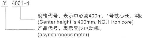 西安泰富西玛Y系列(H355-1000)高压YJTG-280S-2A/75KW三相异步电机型号说明